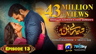 Tere Bin Ep 13  Eng Sub  Digitally Presented by Nisa BB Cream  Yumna Zaidi  Wahaj Ali [upl. by Shellans]