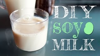 How To Make Soy Milk Easily At Home with just 2 ingredients for drinking AND for making tofu [upl. by Rusel]