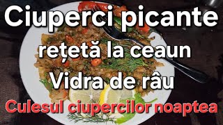 La ciuperci noaptea  rețetă la ceaun si vidra de râu [upl. by Schalles968]