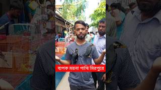 ব্যাপক ময়না পাখি মিরপুর হাটে  ময়না পাখি  Moyna Pakhi  ময়না পাখির বাচ্চা  Pakhi  পাখি shorts [upl. by Atsylak]