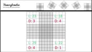 Hemocytometer calculation [upl. by Iba767]