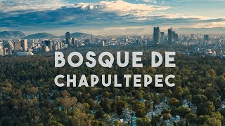 El Bosque de Chapultepec Mejor Que Central Park [upl. by Annabelle847]