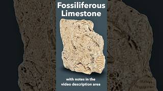 Sedimentary Fossiliferous Limestone IDd [upl. by Cathyleen]