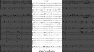 quotCantina Bandquot by John Williams for concert band [upl. by Iraj842]