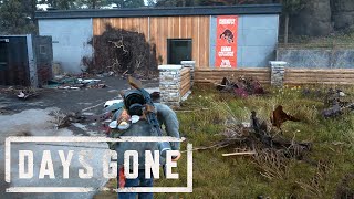 Days Gone  Clear Nests Community College Infestation [upl. by Derf80]