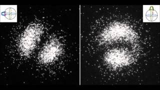 RealTime Imaging of Quantum Entanglement [upl. by Lucier]