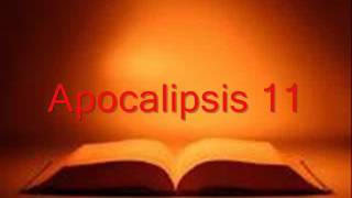 APOCALIPSIS completo Biblia hablada RV 1960 [upl. by Nirrac304]