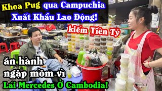 Khoa Pug Lái Mercedes Xuyên Đông Nam Á  Qua Campuchia Xuất Khẩu Lao Động Kiếm Tiền Tỷ Bị Ăn Hành [upl. by Rengia]