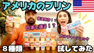 【🇺🇸アメリカのプリンがおかしい】日本といろいろ違いすぎて衝撃！！アメリカのプリン8種類試してみた 096 [upl. by Blum445]