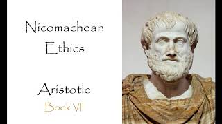 The Nicomachean Ethics  Book VII Audiobook [upl. by Chemesh]