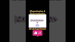 Magnetization amp Demagnetization  Explanation with Animation physics shorts [upl. by Paulson]