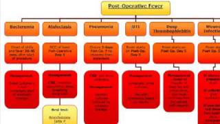 Surgery Algorithm PostOperative fever [upl. by Agle496]