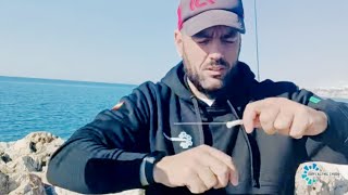 PESCA surfcasting Â¡EN ESCOLLERA ZONA MIXTA en busca de DIPLODUS SARGUS [upl. by Whitaker590]