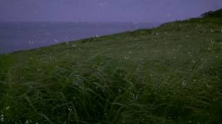 Rain amp Wind Sounds for Sleep amp Relaxation w Distant Thunder amp Ocean Waves  Relaxing White Noise [upl. by Llet434]