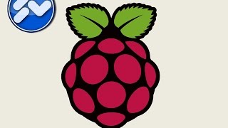 Raspberry Pi Camera [upl. by Diogenes]