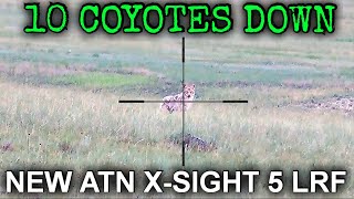 10 COYOTES DOWN  NEW ATN XSIGHT 5 LRF COYOTE HUNTING FOOTAGE  6MM ARC [upl. by Hannala]