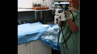 Flexible Endoscope Reprocessing  Precleaning [upl. by Chrissy]