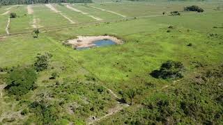 Fazenda Apiaú 86 hectares Vicinal 07 [upl. by Lynnett]