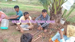 সৌদি খেজুরের সাকার চারা Date Palm Offshoots plantউন্নত মানের খেজুর গাছ Khajur  Tissue culture BD [upl. by Anne275]