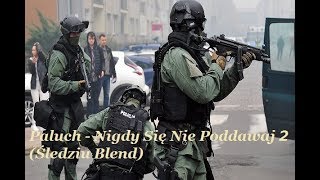 Paluch  Nigdy Się Nie Poddawaj 2 Śledziu Blend TELEDYSK [upl. by Demahom574]