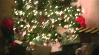 We caught Santa on video in our house 2011 [upl. by Nanreit631]