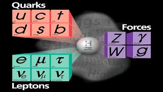 LInfinito e lUniverso La scienza moderna La fisica delle particelle La struttura della materia [upl. by Ahsener]