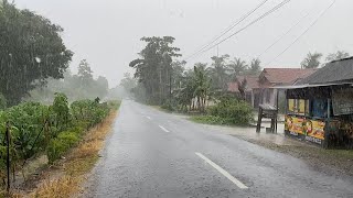 Heavy Rain and Strong Winds for Long Time in Village Life  Rain Sounds Introduction Sleeping [upl. by Winfrid863]