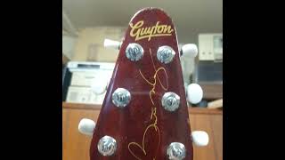 Guyton Red Special guitar [upl. by Desiree]