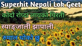 Superhit Nepali Lok Geet  Kodo Ropda Layeko Pirati  Syangjali Jhapali  Rumal Dhoko chhu [upl. by Euqinorev]