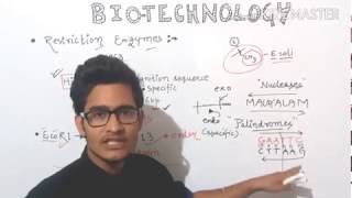 Tools for recombinant DNA technologyRestriction endonucleases amp exonuclease [upl. by Kori670]