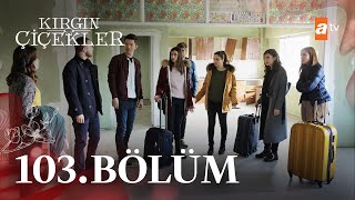 Kırgın Çiçekler 103 Bölümatvturkiye [upl. by Reginauld]