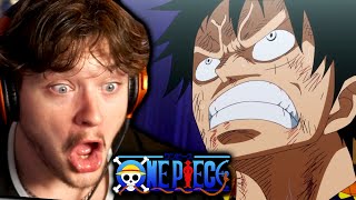 Bellamys Gone Law Dies Luffys Rage One Piece Reaction [upl. by Llenel]