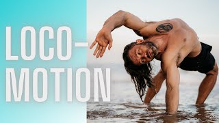 Locomotion Movement Flow Training and Soft Acrobatics 2021 [upl. by Eceirtal]