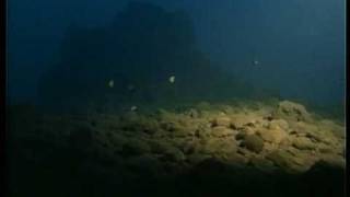 Diving on MacDonald Seamount [upl. by Yewed]