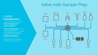 Automating Mass Spec Workflows for Bioprocessing PAT LCGC Symposium [upl. by Arret]