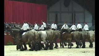 Show De Brabander 2004 [upl. by Patton]