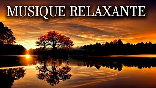 Musique de Méditation sur la Nature  La Paix Intérieure con Musique Nature  Relaxant [upl. by Nitniuq]