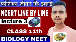 प्रोकैरियोटिक कोशिका  कोशिका जीवन कि इकाई  cell the unit of life  by Ankit raj [upl. by Ettecul684]