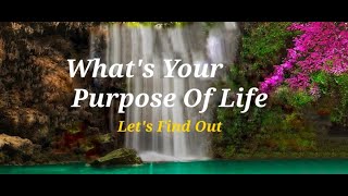 Whats Your Purpose Of Life Lets Find out [upl. by Ferdy]