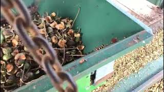 Slow Speed shredder shredding Macadamia Nut Husks for mulch or composting [upl. by Htomit]