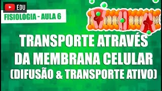 Transporte através da membrana difusão simples facilitada e transporte ativo  Fisiologia 06 [upl. by Brown]