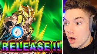 NEW Summon Animations on LR Gogeta Blue amp Broly Summons The Movie  Dokkan 9th Anniversary [upl. by Sorac833]