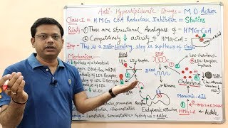 Antihyperlipidemic Drugs Part 04  HMG CoA Reductase Inhibitors  Statins Mechanism of Action [upl. by Wolf]