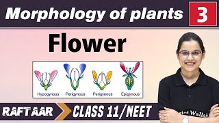 Morphology in Plants 03  Flower  Class 11NEET  RAFTAAR [upl. by Harmon]