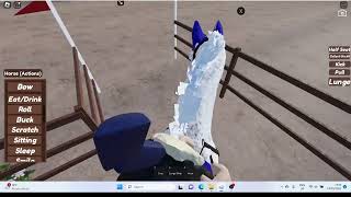 strideway rp Roblox horse game BETA [upl. by Calandria]