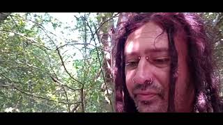 Snacking with Keeves in the trees episode 57 Burts Devon roast beef crisps [upl. by Zug]