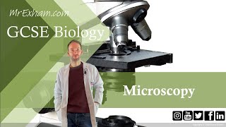 Microscopy  GCSE Biology 91 13 [upl. by Dahaf]