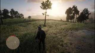 Red Dead Redemption 2 ubicacion Grosella dorada [upl. by Danczyk]