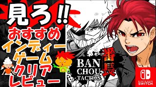 【番長タクティクス クリアレビュー】最新インディー、 おすすめ？Switch、ヤンチャ系タクティカルシミュレーションRPGの評価は？ [upl. by Gniliem272]