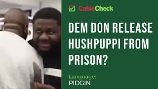 FACT CHECK Has Hushpuppi been released from prison Pidgin [upl. by Eceinahs]